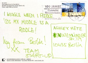 postcard from startups
